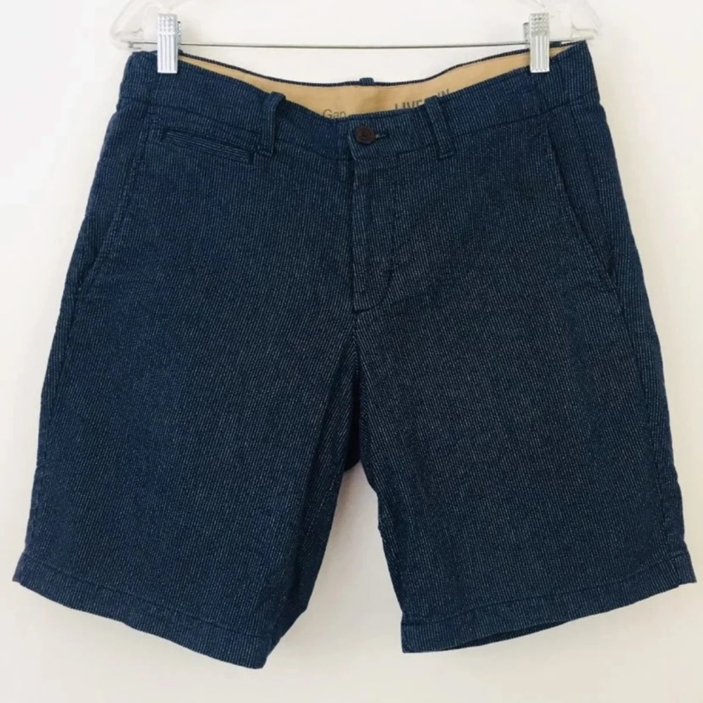GAP Men Blue Striped Casual Shorts